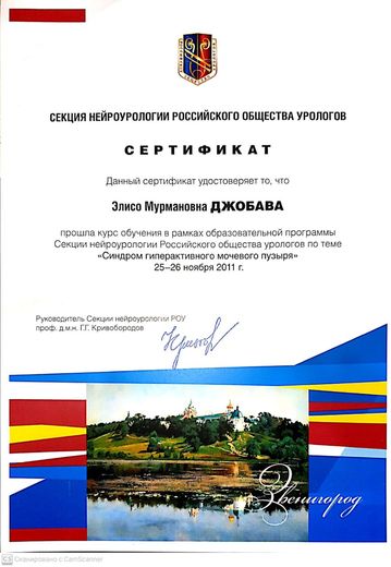 Сертификат курса «Синдром гиперактивного мочевого пузыря», РОУ, 2011