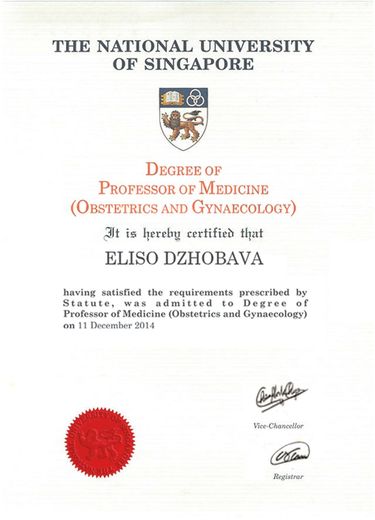 Диплом профессора медицины по акушерству и гинекологии, Сингапур, 2014